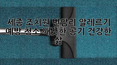 세종 조치원 번암리 알레르기 예방 청소: 깨끗한 공기, 건강한 삶