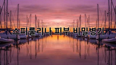 스피룰리나: 피부 비밀병기